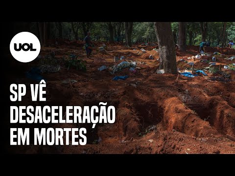 GOVERNO DE SP APONTA DESACELERAÇÃO SEMANAL EM NÚMERO DE MORTES
